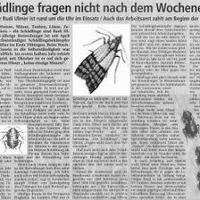 Zeitungsartikel "Schädlinge fragen nicht nach dem Wochenende" - Rudi Ulmer Schädlingsbekämpfung